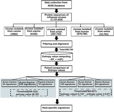 Host-Adaptive Signatures of H3N2 Influenza Virus in Canine